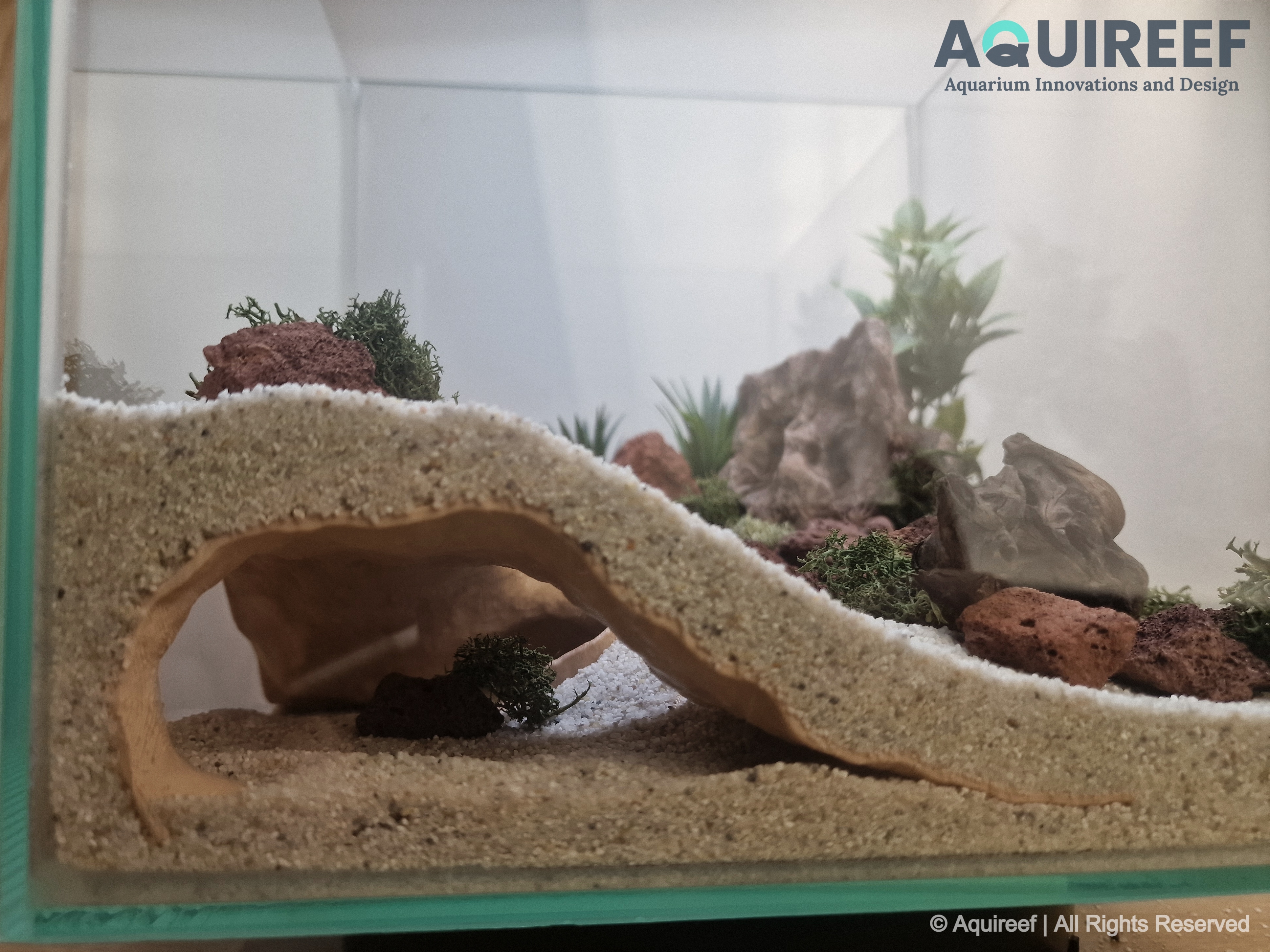 Riptide Aquarium | Terrarium Cave